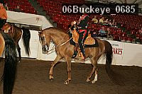 06buckeye_0685 thumbnail