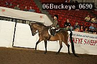 06buckeye_0690 thumbnail