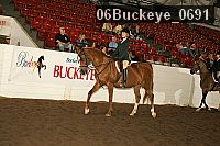 06buckeye_0691 thumbnail