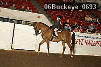 06buckeye_0693 thumbnail