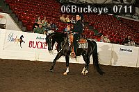 06buckeye_0711 thumbnail