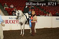 06buckeye_0721 thumbnail