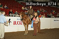 06buckeye_0734 thumbnail