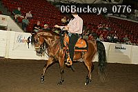 06buckeye_0776 thumbnail