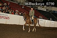 06buckeye_0790 thumbnail