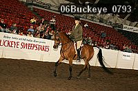 06buckeye_0793 thumbnail