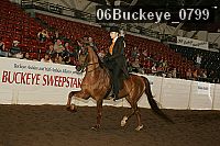 06buckeye_0799 thumbnail