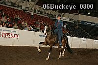 06buckeye_0800 thumbnail