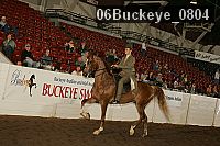 06buckeye_0804 thumbnail