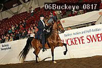 06buckeye_0817 thumbnail