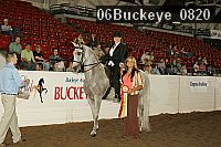 06buckeye_0820 thumbnail