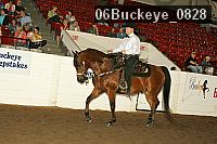 06buckeye_0828 thumbnail