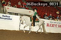 06buckeye_0831 thumbnail