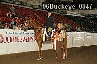 06buckeye_0847 thumbnail