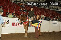 06buckeye_0848 thumbnail