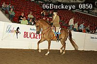 06buckeye_0850 thumbnail