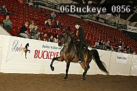 06buckeye_0856 thumbnail