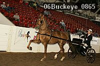 06buckeye_0865 thumbnail