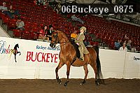 06buckeye_0875 thumbnail