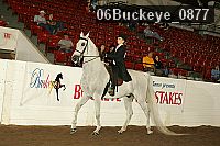 06buckeye_0877 thumbnail