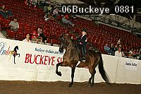 06buckeye_0881 thumbnail