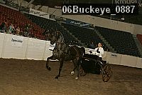 06buckeye_0887 thumbnail