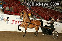 06buckeye_0890 thumbnail