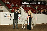 06buckeye_0907 thumbnail