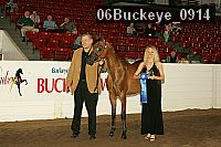 06buckeye_0914 thumbnail