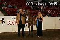 06buckeye_0915 thumbnail