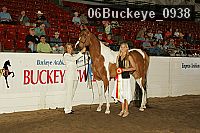 06buckeye_0938 thumbnail