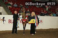 06buckeye_0939 thumbnail