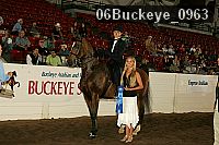 06buckeye_0963 thumbnail