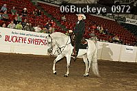 06buckeye_0972 thumbnail