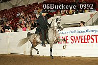 06buckeye_0992 thumbnail