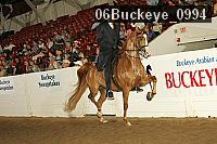 06buckeye_0994 thumbnail