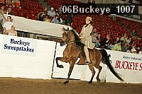 06buckeye_1007 thumbnail