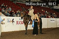 06buckeye_1012 thumbnail