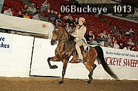 06buckeye_1013 thumbnail