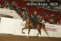 06buckeye_1020 thumbnail