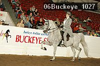 06buckeye_1027 thumbnail