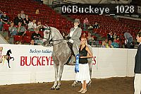 06buckeye_1028 thumbnail