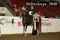 06buckeye_1040 thumbnail