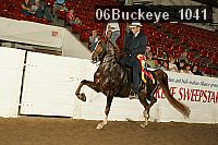 06buckeye_1041 thumbnail