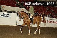 06buckeye_1053 thumbnail