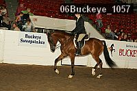 06buckeye_1057 thumbnail