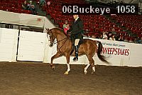 06buckeye_1058 thumbnail