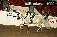 06buckeye_1059 thumbnail