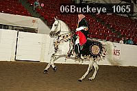 06buckeye_1065 thumbnail