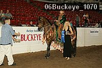 06buckeye_1070 thumbnail